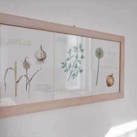Apartment Casa Alina- Art House Foligno